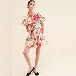 Allina Liu Rembrandt Mini Dress MSRP $250